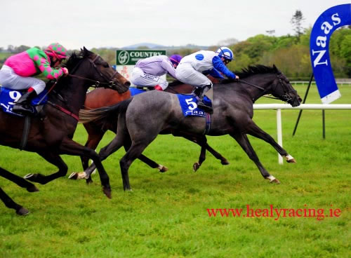 Greek Canyon Naas 16th May 2012